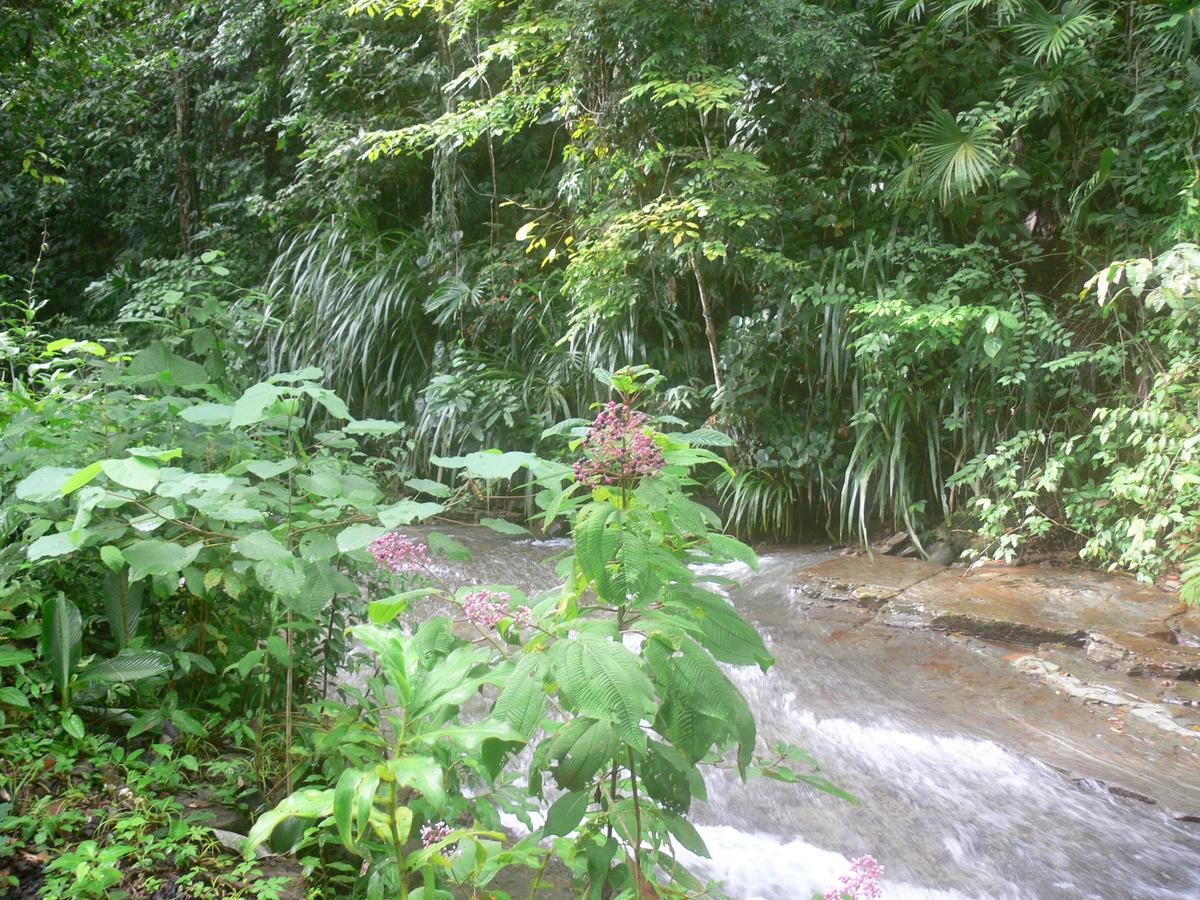 Waterfall Villas Baru Exterior photo
